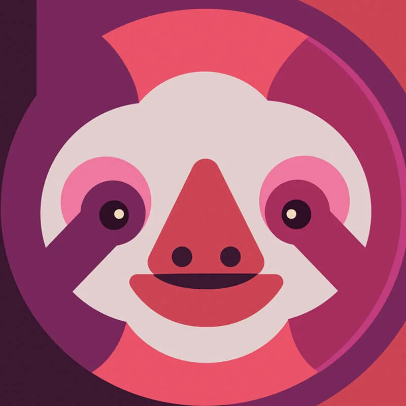 The three-toed sloth illustration detail